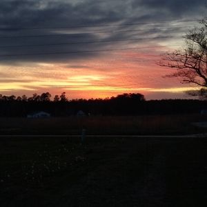 Meet your Posher, Kenneth